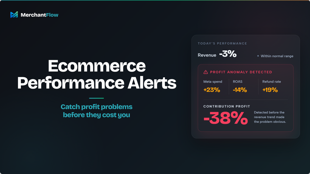 Ecommerce Performance Alerts: How to Catch Profit Problems Before They Cost You